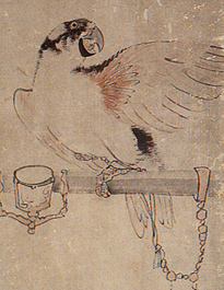 長沢芦雪筆：「鸚鵡図」二曲一双屏風